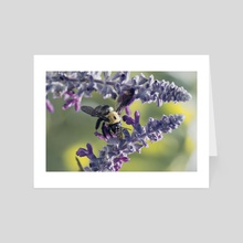 Carpenter Bee I - Art Card by Kelli Soukup