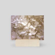 Floral Bloom II - Mini Print by Kelli Soukup