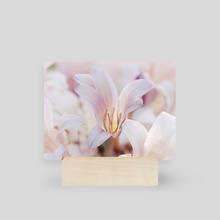 Lily Garden II - Mini Print by Kelli Soukup