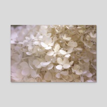 Floral Bloom II - Acrylic by Kelli Soukup
