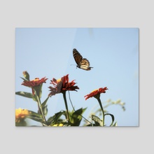 Monarch Butterfly II - Acrylic by Kelli Soukup