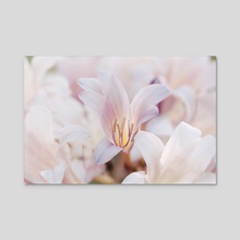 Lily Garden II - Acrylic by Kelli Soukup
