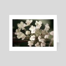 Floral Bloom I - Art Card by Kelli Soukup